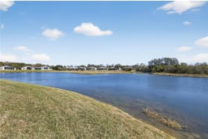 10824 COLLAR DR, SAN ANTONIO, FL 33576 - MLS#MFRTB8478888