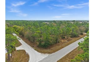 13484 MICHILIN AVENUE, PUNTA GORDA, FL 33955 - MLS#MFRTB8478899