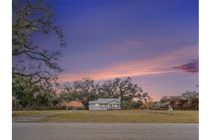 6305 JIM DAVIS ROAD, PARRISH, FL 34219 - MLS#MFRTB8478914
