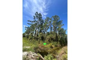 966 CHALLENGER STREET, LAKE PLACID, FL 33852 - MLS#MFRTB8478919