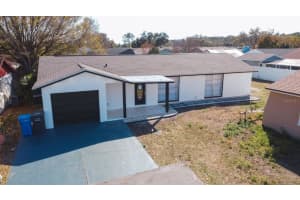 7502 Pond View Ct, TAMPA