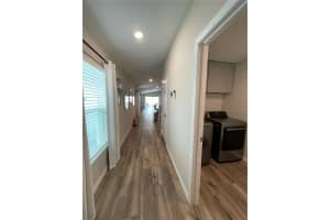 7838 PEACE LILY AVENUE, WESLEY CHAPEL, FL 33545 - MLS#MFRTB8478941