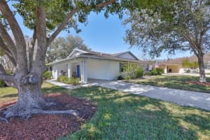 2009 HALMROCK PLACE, SUN CITY CENTER, FL 33573 - MLS#MFRTB8478944