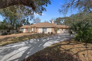 13 ENCLAVE POINT, HOMOSASSA, FL 34446 - MLS#MFRTB8478960