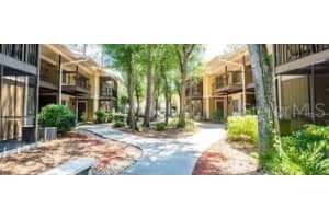 13403 ARBOR POINTE CIRCLE, TAMPA, FL 33617 - MLS#MFRTB8478970