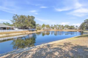 12351 RIDGEDALE DRIVE, HUDSON, FL 34669 - MLS#MFRTB8478992