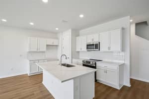 31481 SPANISH MISSION ROAD, SAN ANTONIO, FL 33576 - MLS#MFRTB8478995