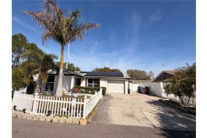 10213 Explorer Ct, TAMPA