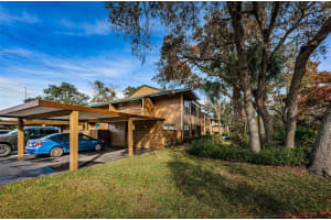 802 LENNOX ROAD, PALM HARBOR, FL 34683 - MLS#MFRTB8479050