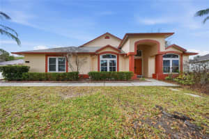 10005 KATIE COURT, TAMPA, FL 33647 - MLS#MFRTB8479062