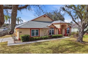 10005 KATIE COURT, TAMPA, FL 33647 - MLS#MFRTB8479062