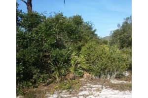 922 ASTER STREET, LAKE PLACID, FL 33862 - MLS#MFRTB8479067