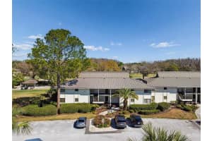 29129 BAY HOLLOW DRIVE, WESLEY CHAPEL, FL 33543 - MLS#MFRTB8479070