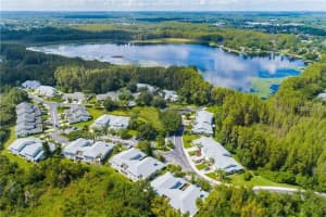 1746 HERON COVE DRIVE, LUTZ, FL 33549 - MLS#MFRTB8479071