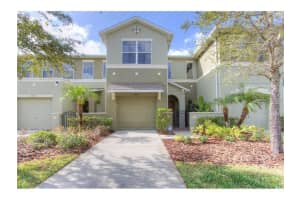 2955 Willowleaf Ln, WESLEY CHAPEL