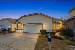 5202 Fairway One Dr, VALRICO