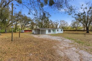 33725 CAMERTON ROAD, WESLEY CHAPEL, FL 33543 - MLS#MFRTB8479092