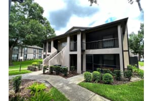 4015 ANGEL OAK COURT, TAMPA, FL 33613 - MLS#MFRTB8479096