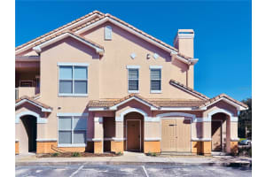 18013 Villa Creek Dr, TAMPA