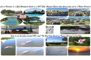 1806 MARINER DRIVE, TARPON SPRINGS, FL 34689 - MLS#MFRTB8479122