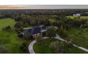 11441 HAMMOCK OAKS COURT, LITHIA, FL 33547 - MLS#MFRTB8479132