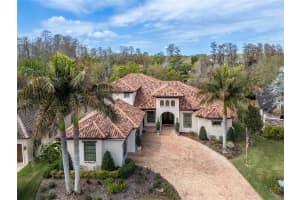 4109 PRESERVE FOREST DRIVE, TAMPA, FL 33618 - MLS#MFRTB8479148