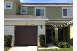 20418 Needletree Dr, TAMPA