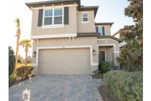 5836 Timberdale Ave, WESLEY CHAPEL