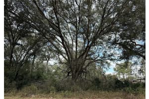 0 HILDA RD, DADE CITY, FL 33523 - MLS#MFRTB8479212