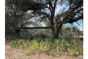 0 HILDA RD, DADE CITY, FL 33523 - MLS#MFRTB8479212