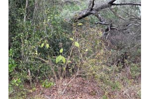 0 HILDA RD, DADE CITY, FL 33523 - MLS#MFRTB8479212