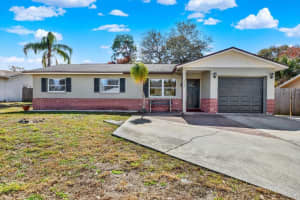 1315 GULFVIEW WOODS LANE, TARPON SPRINGS, FL 34689 - MLS#MFRTB8479220