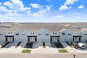 31298 Paper Birch St, WESLEY CHAPEL