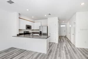 31298 PAPER BIRCH STREET, WESLEY CHAPEL, FL 33545 - MLS#MFRTB8479274