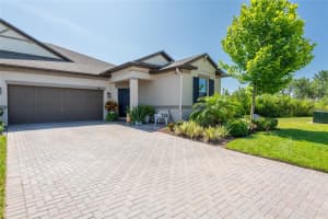 9882 Red Bay Loop, LAND O LAKES