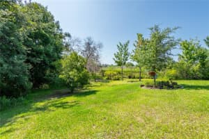 9882 RED BAY LOOP, LAND O LAKES, FL 34637 - MLS#MFRTB8479283