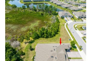 9882 RED BAY LOOP, LAND O LAKES, FL 34637 - MLS#MFRTB8479283