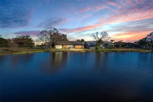 3200 MCMATH DRIVE, PALM HARBOR, FL 34684 - MLS#MFRTB8479285