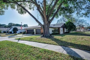 3200 MCMATH DRIVE, PALM HARBOR, FL 34684 - MLS#MFRTB8479285