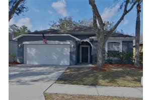 MLS# MFRTB8479288, Tampa, Florida 33647