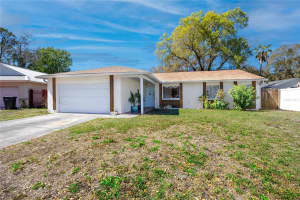 14012 CASCADE LANE, TAMPA, FL 33618 - MLS#MFRTB8479309