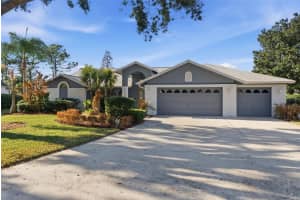 3916 CEDAR CAY CIRCLE, VALRICO, FL 33596 - MLS#MFRTB8479340