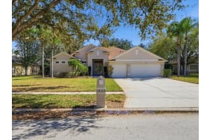 19107 BECKETT DRIVE, ODESSA, FL 33556 - MLS#MFRTB8479365