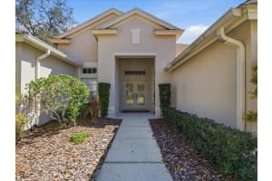 19107 BECKETT DRIVE, ODESSA, FL 33556 - MLS#MFRTB8479365