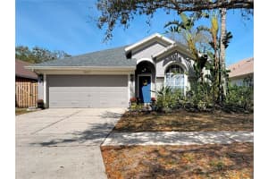 5637 Paddock Trail Dr, TAMPA