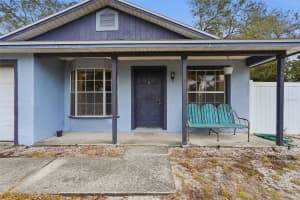 3607 JOHNSON COURT, PALM HARBOR, FL 34684 - MLS#MFRTB8479391