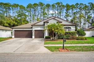 20835 Riverforest Dr, LAND O LAKES