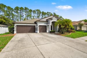20835 RIVERFOREST DRIVE, LAND O LAKES, FL 34638 - MLS#MFRTB8479415