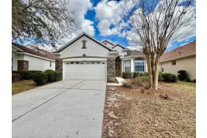 10226 Evergreen Hill Dr, TAMPA