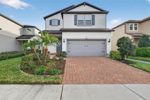 18056 AERO AVENUE, LAND O LAKES, FL 34638 - MLS#MFRTB8479436